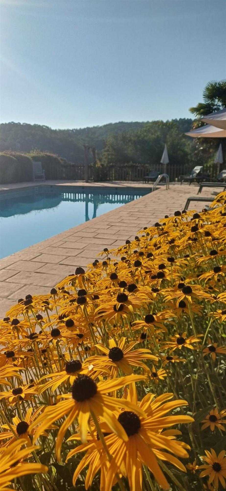Domaine De Cournet Haut, A 17Th Century Property Set On A Calm, Idyllic Domain With Pool, Tennis, Bikes And More Les Vauries Екстериор снимка